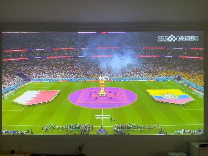 世界杯直播观看视频