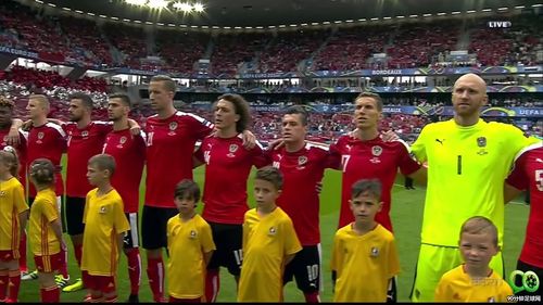 奥地利对匈牙利欧洲杯